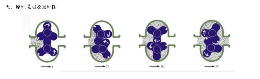 凸輪轉(zhuǎn)子泵原理